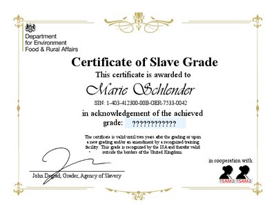 Marie's Slavery Adventures Pt. 4