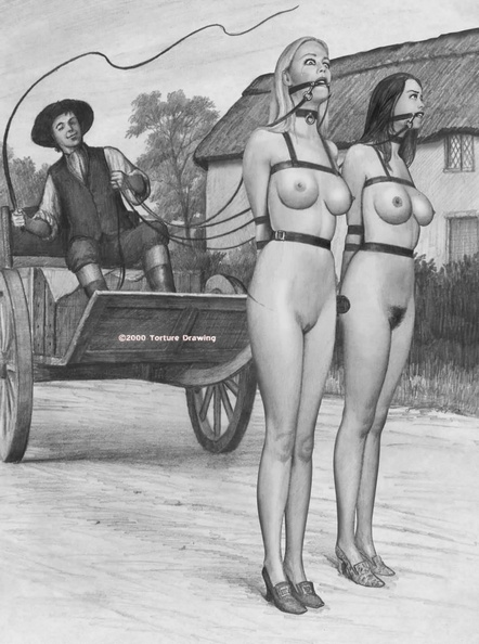 Pony-Girl-BDSM-art-3-10