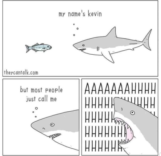 144035468 2773758029533174 8788157344452236440 n