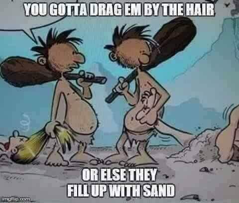 65283909 2389932131221418 4689429285876793344 n